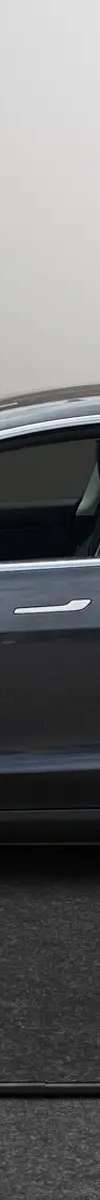 2020 Tesla Model 3 thumbnail 2