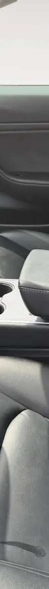 2020 Tesla Model 3 thumbnail 9